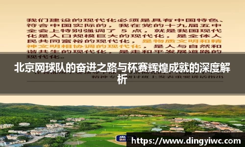 北京网球队的奋进之路与杯赛辉煌成就的深度解析