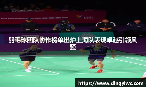 羽毛球团队协作榜单出炉上海队表现卓越引领风骚
